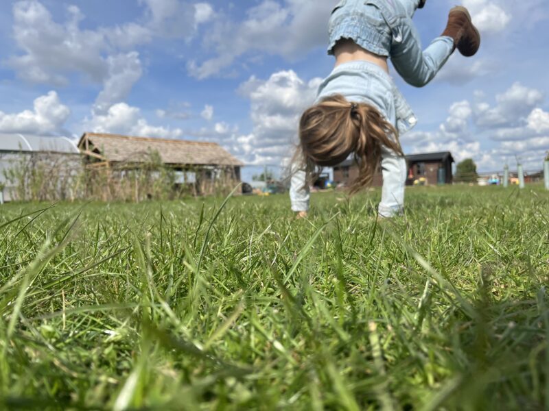 Home Education at Wisbech Community Farm
