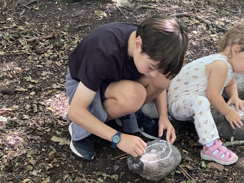 Flag Fen Archaeology Park Home Education Sessions
