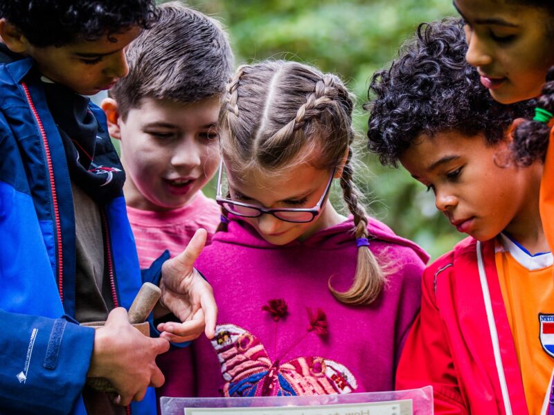 Forestry England Home Ed Event