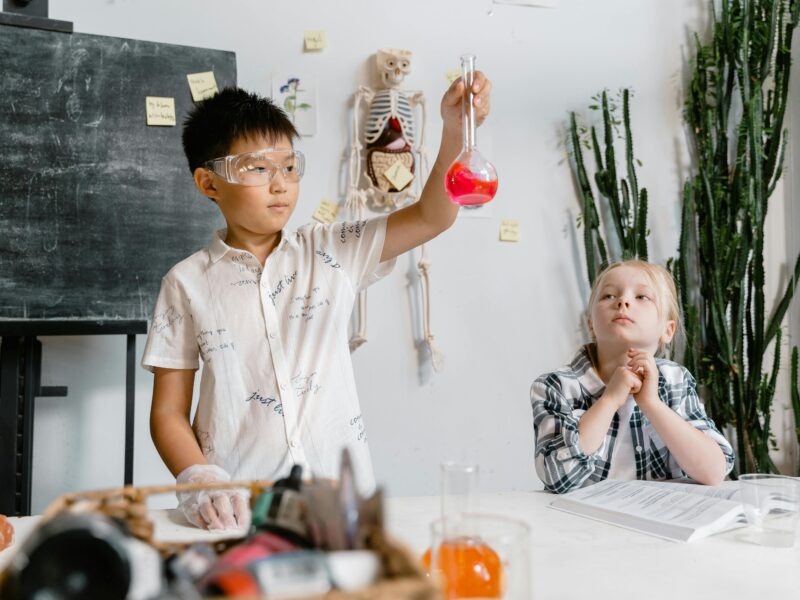 Home Education Day – Centre for Life