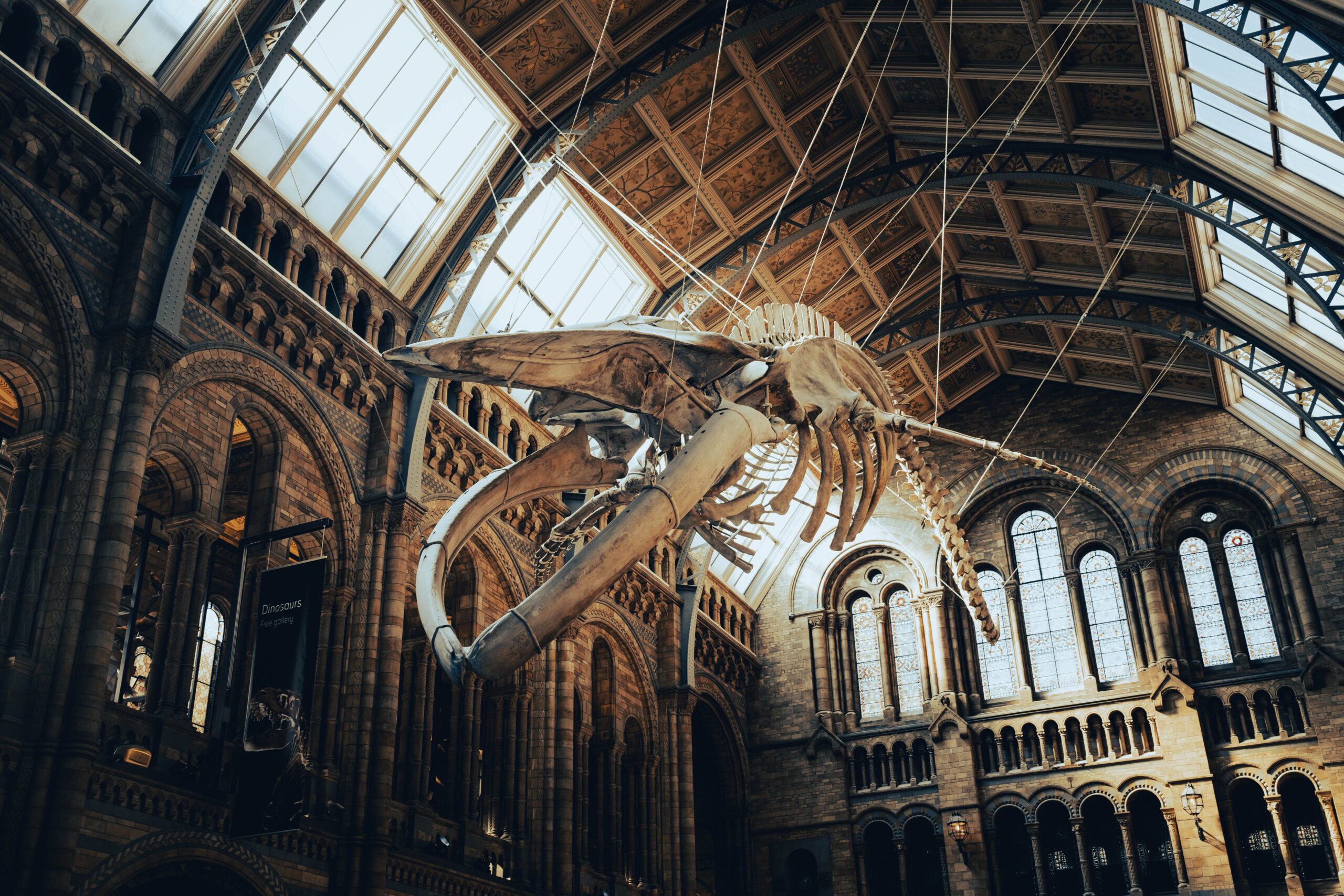 Home Education Days Out: UK Museums With Home Educator Days