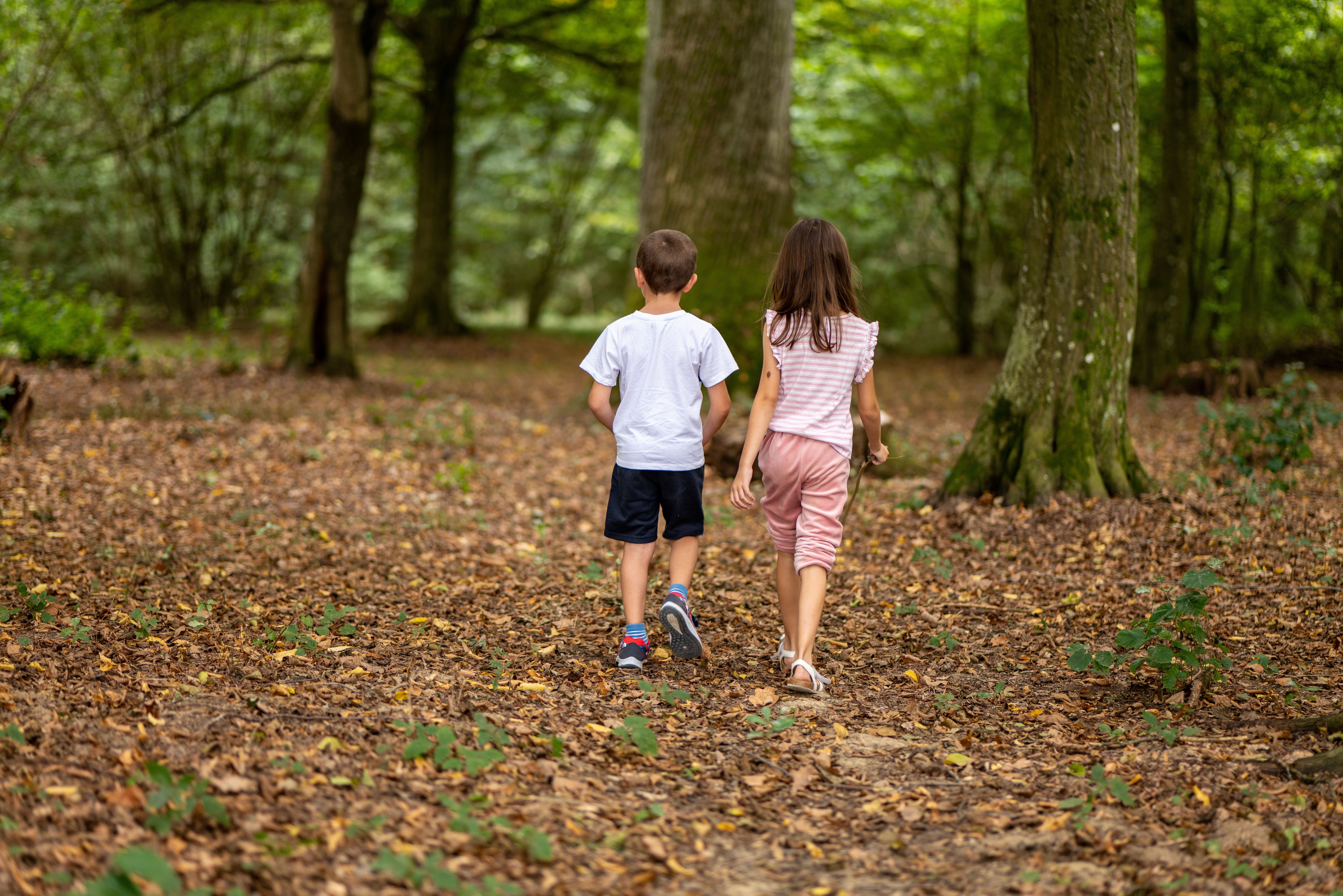 Exploring Nature with Children: A Year-Long Nature Study